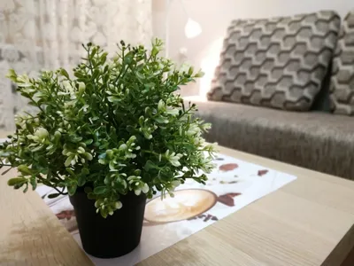 Уютная 1к квартира на Ольги Жилиной 58 — sm.webp