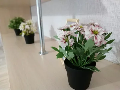 Уютная 1к квартира на Ольги Жилиной 58 — xl.webp