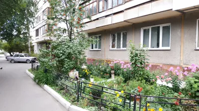 Уютная 1к квартира на Ольги Жилиной 58 — sm.webp