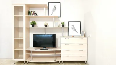 Уютная 1к квартира на Ольги Жилиной 58 — xl.webp