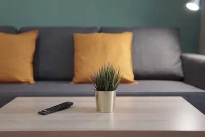 Квартира-студия на Ватутина 39 на 4х — sm.webp