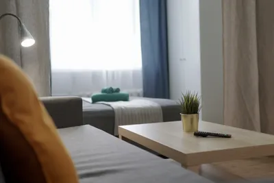 Квартира-студия на Ватутина 39 на 4х — sm.webp