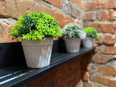 Уютная двухуровневая студия на 4х — sm.webp