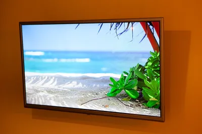 Квартира-студия на 2х — xl.webp