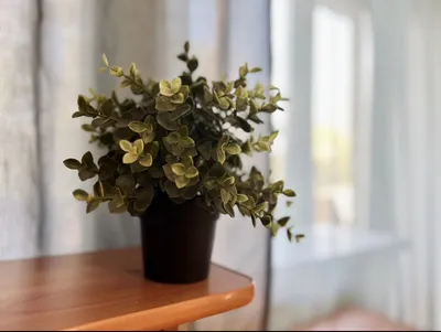 1к квартира возле метро Гагаринская — xl.webp