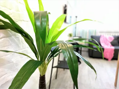 2к квартира на 6х возле метро Площадь Маркса — xl.webp