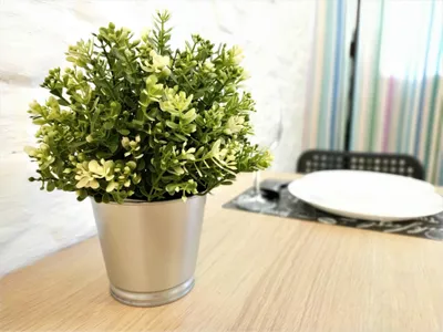 2к квартира на 6х возле метро Площадь Маркса — sm.webp