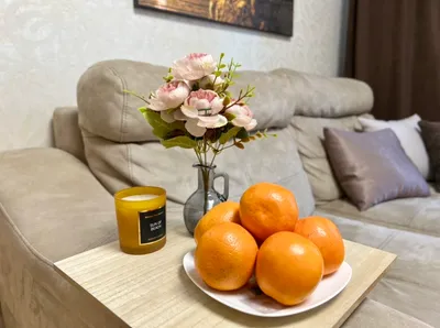 Уютная 2к квартира возле м. "Площадь Маркса" — xl.webp