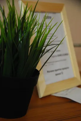 1к квартира в Заельцовском районе возле метро — sm.webp