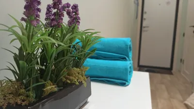 Квартира-студия на Космической 12/1 — sm.webp