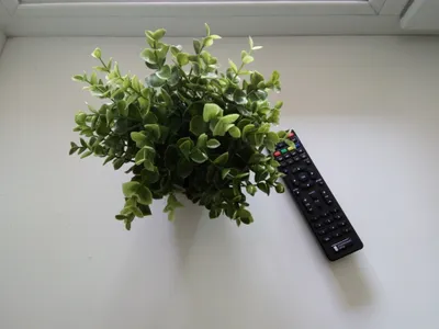 Квартира-студия на 4х человек — xl.webp