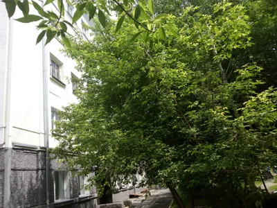 Квартира-студия на 4х человек — sm.webp