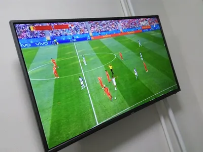 Квартира-студия на 4х человек — xl.webp