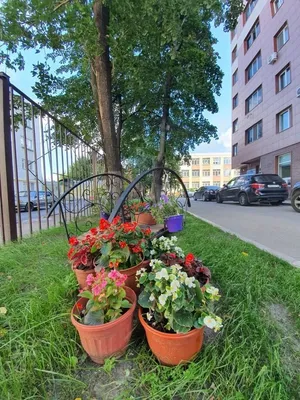 Комфортная квартира рядом с метро — sm.webp