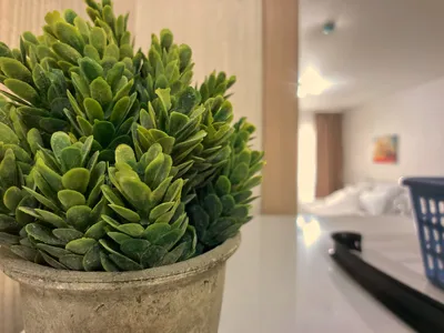 Отличная квартира в центре в ЖК "Гулливер"  — sm.webp