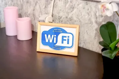 Dom Vistel спортивная 17 Plus — xl.webp