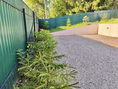 Одноэтажный Дом №1 в Гостевом доме «дИНИНО» — sm.webp