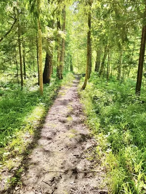 Одноэтажный Дом №1 в Гостевом доме «дИНИНО» — sm.webp