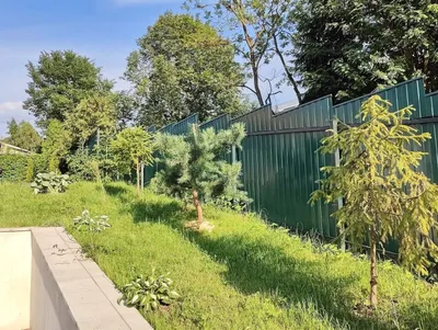 Одноэтажный Дом №1 в Гостевом доме «дИНИНО» — sm.webp