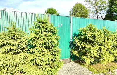 Одноэтажный Дом №1 в Гостевом доме «дИНИНО» — sm.webp