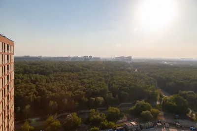 Апартаменты №2 на 21 этаже — sm.webp