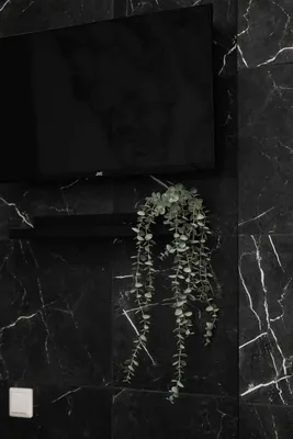 Уютная студия на Корабельной  — sm.webp