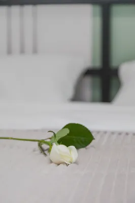 Студия на Серебрякова — sm.webp