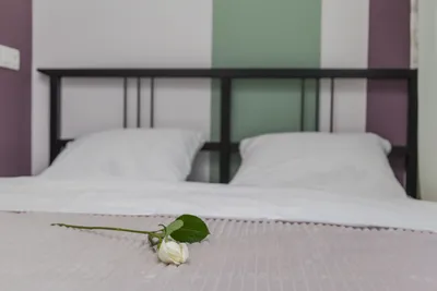 Студия на Серебрякова — sm.webp