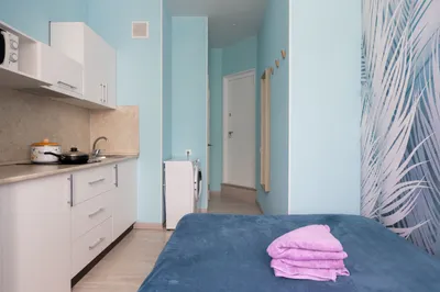 Студия рядом с м.Технопарк — sm.webp