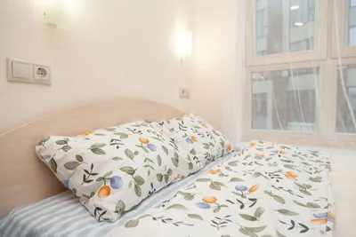 Квартира — xl.webp