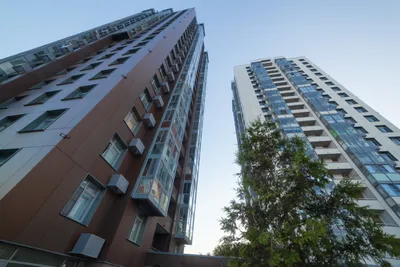 Уютная студия в ЖК "Барбарис" — sm.webp