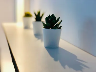 Квартира №2 — sm.webp