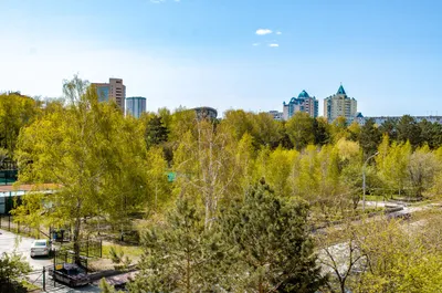 Апартаменты 2+2+1 в центре Новосибирска — xl.webp