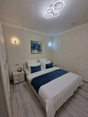 Апартаменты Flatirini 1 комн.кв(Евродв) 56 м² — sm.webp