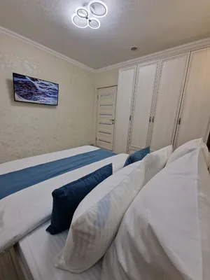 Апартаменты Flatirini 1 комн.кв(Евродв) 56 м² — sm.webp