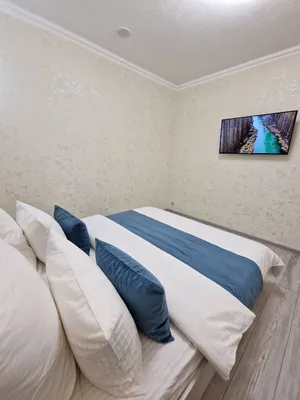 Апартаменты Flatirini 1 комн.кв(Евродв) 56 м² — sm.webp