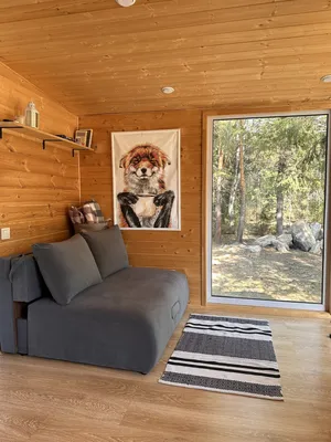 Дом в лесу — xl.webp