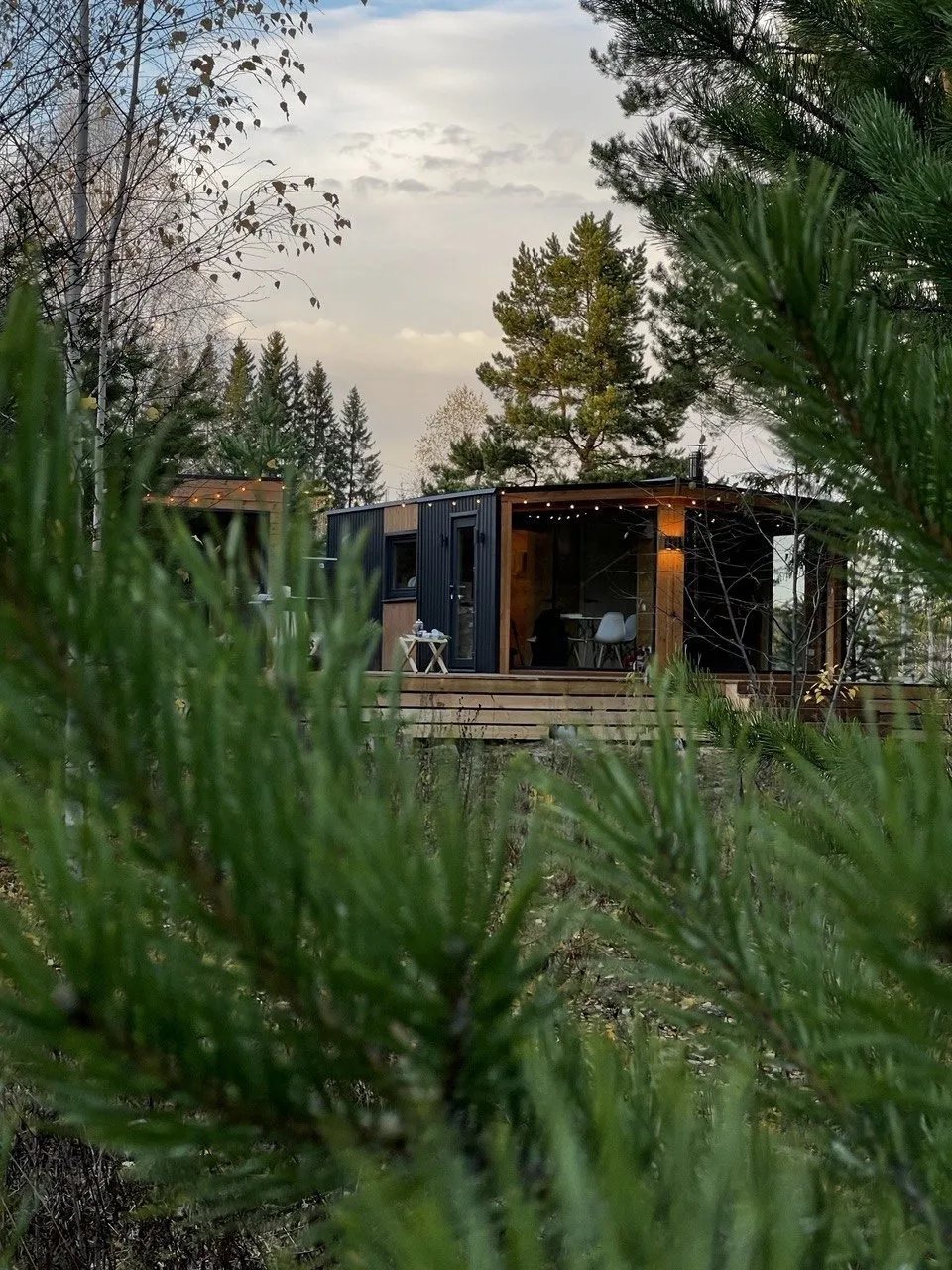 Дом в лесу — xl.webp