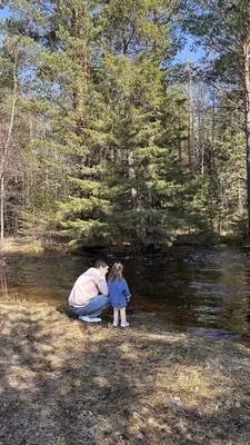 Дом в лесу — sm.webp