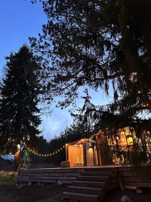 Дом в лесу — sm.webp