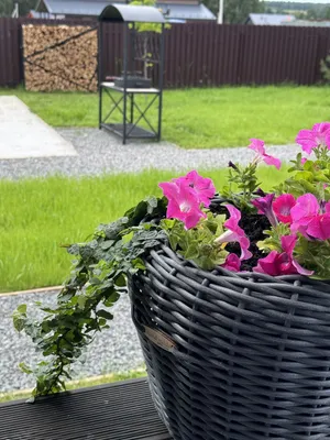 Загородный дом "DREAM HAUS" — sm.webp