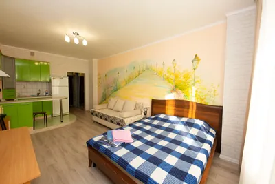 1-комн.кв.студия ул.50лет ВЛКСМ,19 — sm.webp