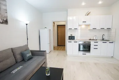 Уютная студия в тихом и спокойном микрорайоне города — sm.webp