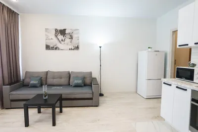 Уютная студия в тихом и спокойном микрорайоне города — sm.webp