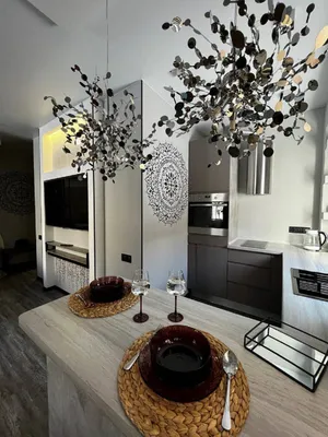 Апартаменты рядом с НГУ, ЦНМТ. Дизайнерский ремонт — xl.webp