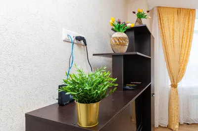 Апартаменты SunRental на Волкова  — sm.webp