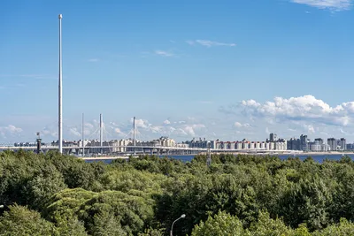 Видовые апартаменты у Лахта центра с видом на залив! — sm.webp