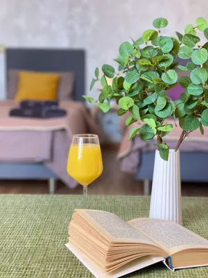 Уютная двухкомнатная квартира Good Sleep Aparments — sm.webp