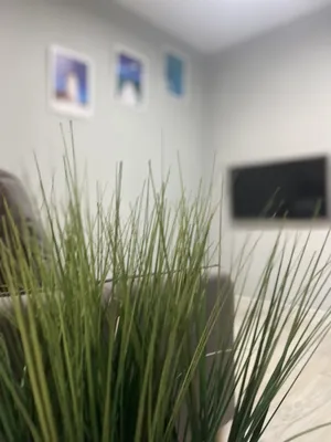 Holiday House — xl.webp