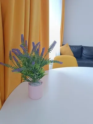 Квартира на Ленина, 84 — sm.webp